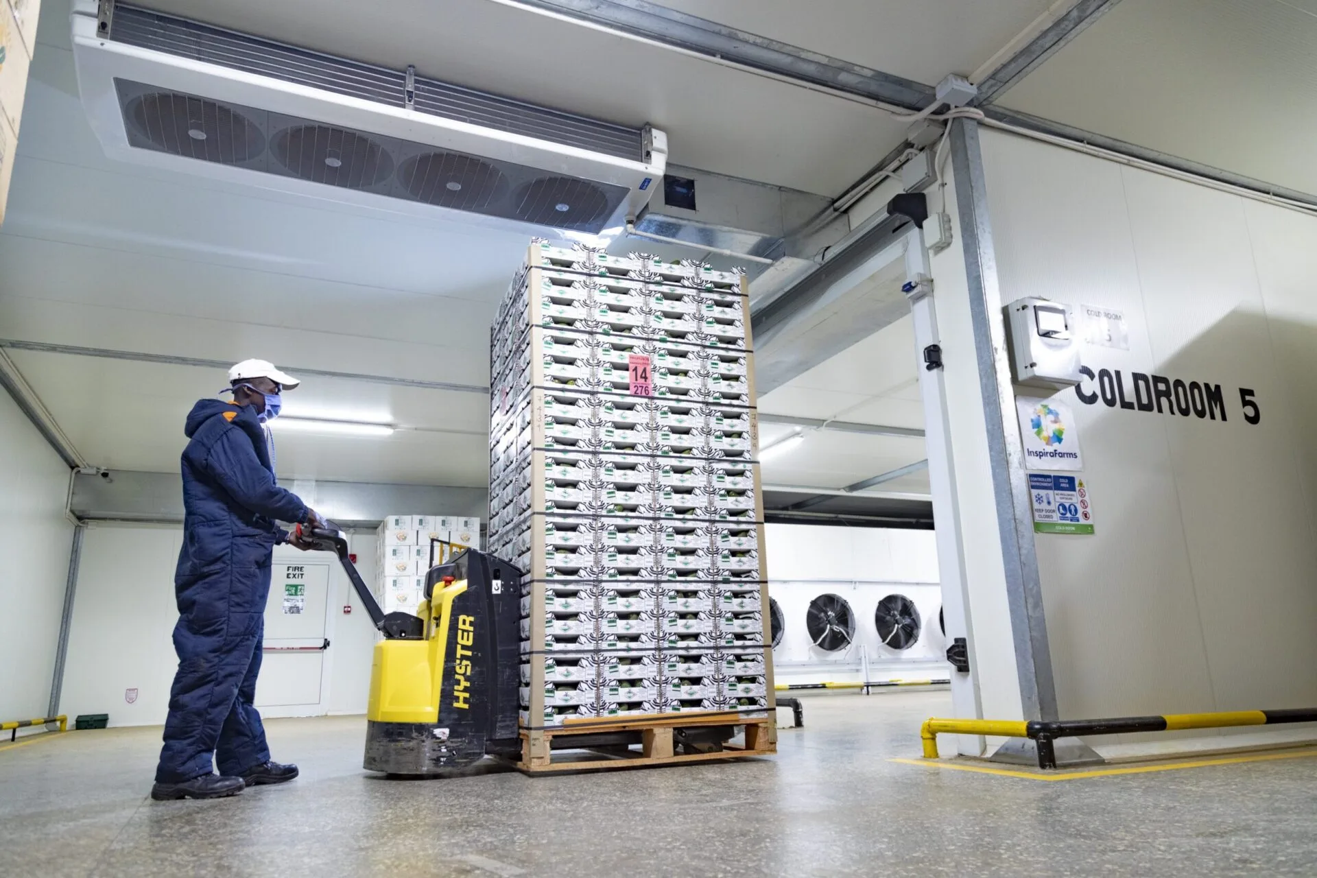 Cold Storage